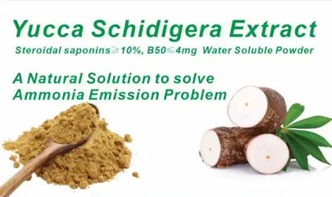 How Yucca Root Extract Helps Reduce Ammonia Levels?